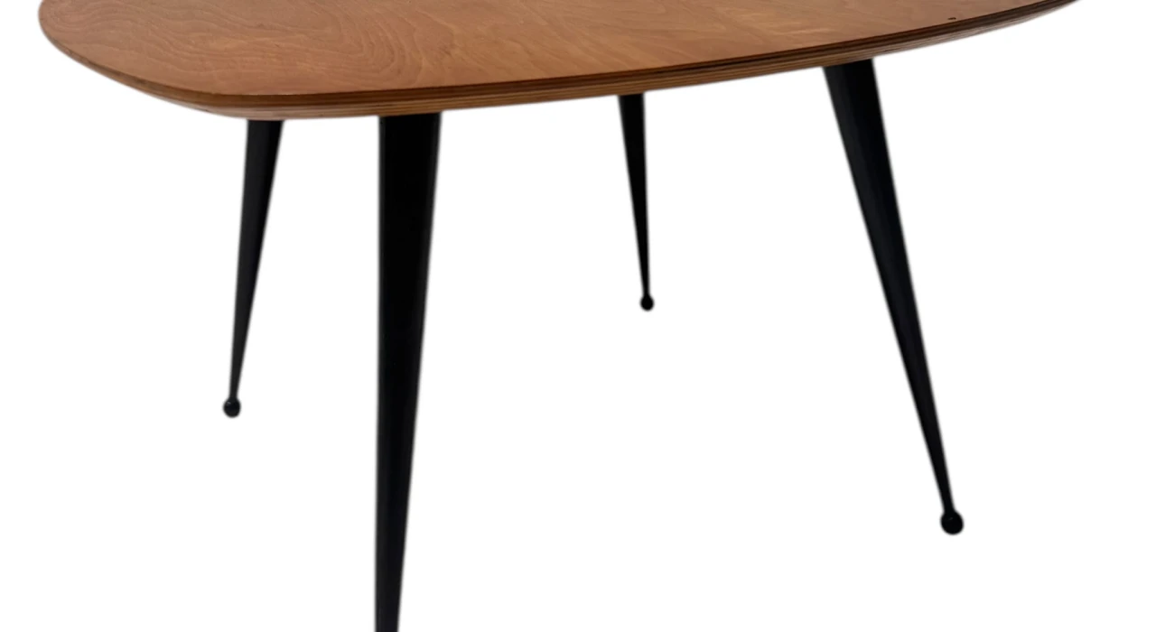 Mid-Century Modern TB16 Coffee Table by Cees Braakman for Pastoe, 1953